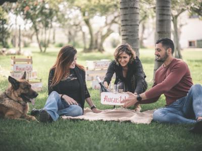 PICNIC ON THE LAWN AMONG WINES, TYPICAL PRODUCTS AND NATURE Tasting - Augustali Farm - AUGUSTALI Farm