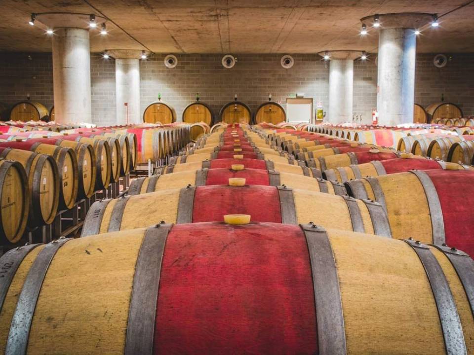 EXCELLENCE & RESEARCH Tasting - Baglio di Pianetto - Pianetto's Estate Winery 1