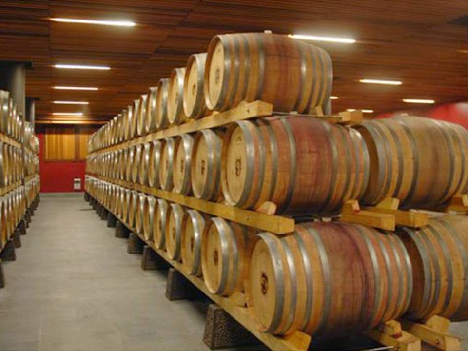 The authenticity of Nero D'Avola Classic Tasting - Winery Gulfi - Locanda Gulfi Winery 6