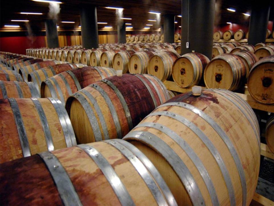 The authenticity of Nero D'Avola Classic Tasting - Winery Gulfi - Locanda Gulfi Winery 7
