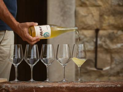 Tasting and visit to the winery Tasting - Funaro Azienda Vinicola