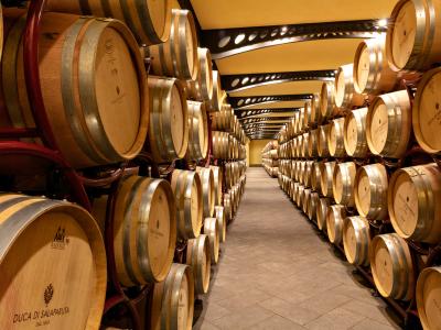 Duca's excellence - Italian Tour Tasting - Duca di Salaparuta - Duca di Salaparuta Winery Winery