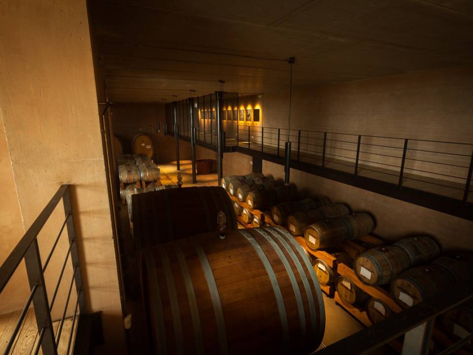 Mandrarossa winery4